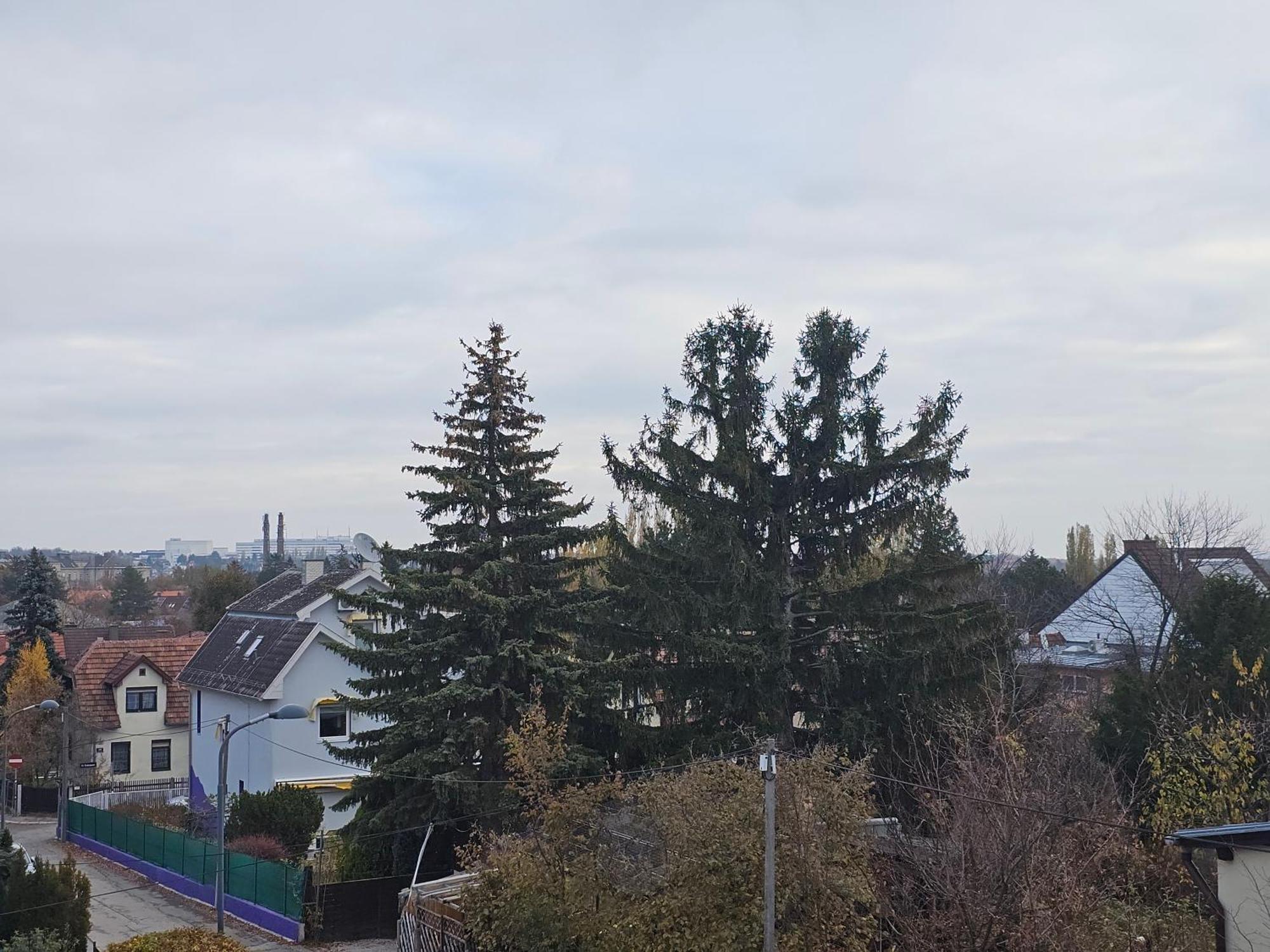 Gasthuis Steffens Panta Rhei Wenen